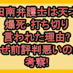 南田南弁護士は天才肌が爆死･打ち切り言われた理由?なぜ前評判悪いのか考察!