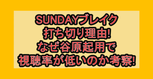 SUNDAYブレイク打ち切り理由!なぜ谷原起用で視聴率が低いのか考察!
